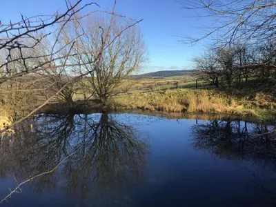 a view of a river with trees reflecting in the water at Fronfetyn in Aberystwyth