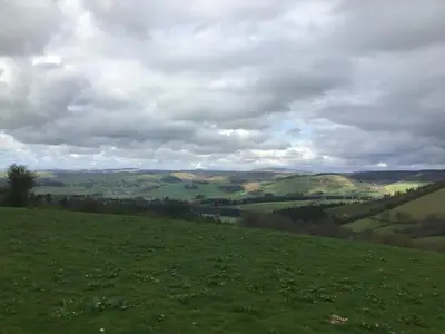 a grassy hill with a view of a green field at Fronfetyn in Aberystwyth