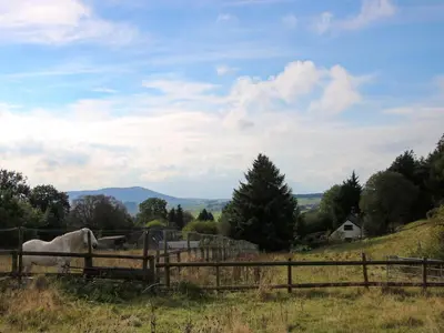 a horse standing in a field behind a fence at The Chicken Coop in Shrewsbury