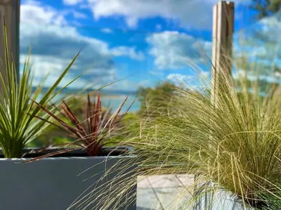 two potted plants sitting on top of a wall at Bungalow, mountain and sea views parking in Aberdyfi