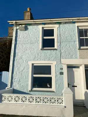 a white house with a cat sitting in a window at Min y Graig New Quay in New Quay