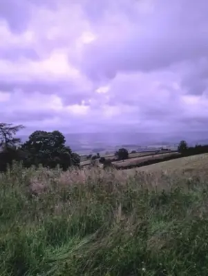 a field with tall grass and trees on a cloudy day at Luxury Stargazing Glamping - Seren Aur with Hot Tub in Llanidloes