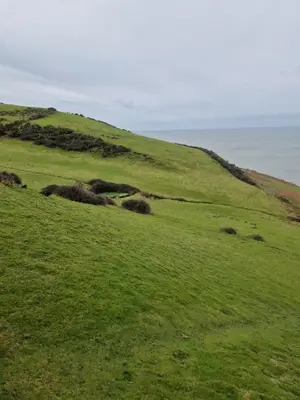 a green grassy hill with the ocean in the background at Harries Lodge ocean in New Quay