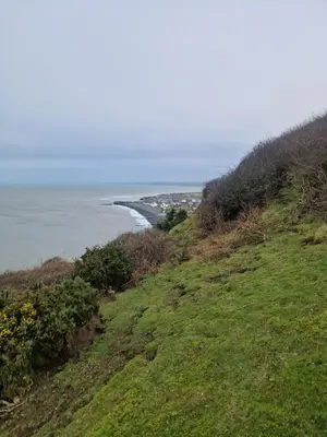 a grassy hill with a view of the ocean at Harries Lodge 2 Aberaeron in Aberaeron