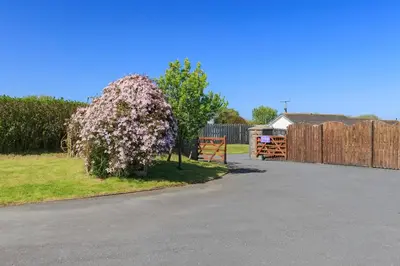 a flowering bush in a yard next to a fence at Swn y Mor Aberaeron in Aberaeron