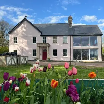 The Pink House
