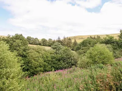 a field of flowers with trees and bushes at Cuckoo at Wild Valley Huts in Oswestry