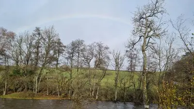 a body of water with trees and a field at Turtle Lodges 29 - Riverside in Builth Wells