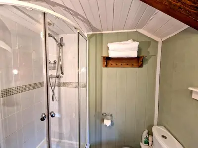 a bathroom with a shower and a toilet and towels at Arwel Llangrannog in Llanllwchaiarn