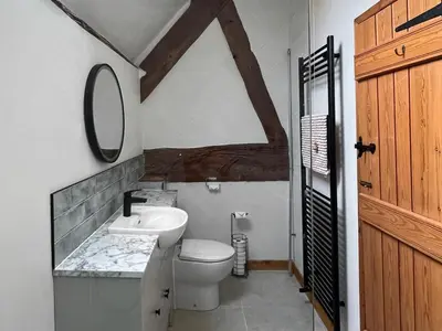 a bathroom with a sink and a toilet and a mirror at Uk46578 - Drifthouse in Church Stretton