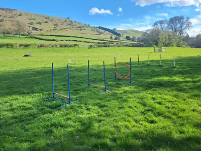 a playground in the middle of a grass field at Glen Y Nant in Llanfihangel-nant-Melan