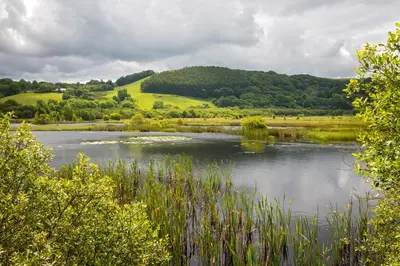 a view of a lake with a hill in the background at Ty Cellin Tregaron in Ystrad-Meurig