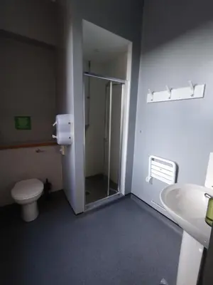 a bathroom with a shower and a toilet and a sink at Kington Accommodation in Kington