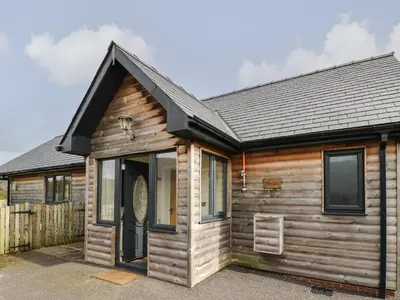 a wooden cabin with a black roof at Caban Dulas in Rhayader