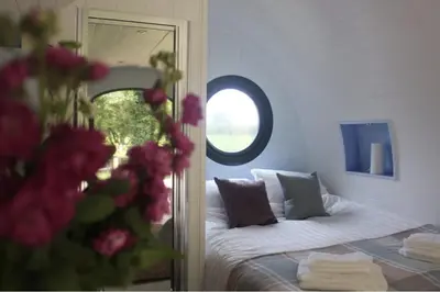 a bedroom with a bed with a mirror and pink flowers at The Kingfishers Burrow in Llandovery