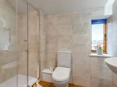 a bathroom with a toilet and a shower and a sink at Nupton Hop Kiln in Kings Pyon