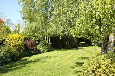 a yard with green grass and trees and bushes at Curlew Cottage in Church Stretton