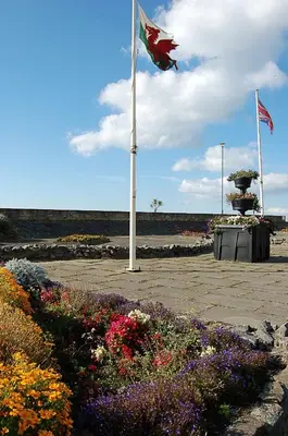 a canadian flag flying over a field of flowers at Abermaw Sea View Apartment in Barmouth