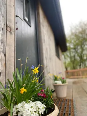 a pot of flowers sitting in front of a door at Glyndwr Way Cabin in Machynlleth