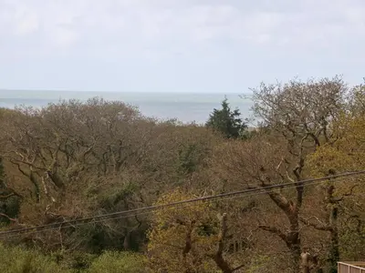 a view of the ocean from a hill with trees at Y Goedlan in Tywyn
