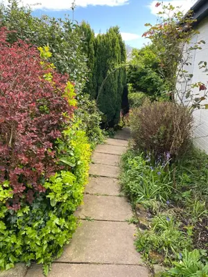 a stepping stone path through a garden with flowers at Tamarisk in Clyro