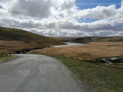 a road in the middle of a field with a river at Cottage in the Countryside Near New Quay West Wales in Llandysul
