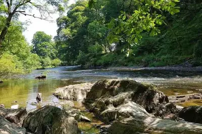 a person standing in a river with rocks at Cottage in the Countryside Near New Quay West Wales in Llandysul