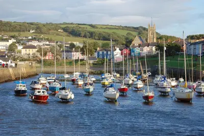 a bunch of boats are docked in the water at Nyth y Wennol Aberaeron in Llanarth