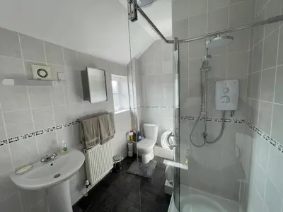 a bathroom with a shower and a sink and a toilet at Twyford Homestay B&B in Llandrindod Wells