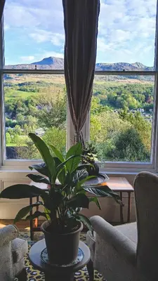 a plant sitting on a table in front of a window at Amazing Cader views Torrent en suite in Dolgellau