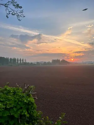 a kite flying over a field at sunset at Lilac Cottage in Stoke Prior