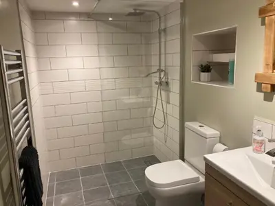 a bathroom with a shower with a toilet and a sink at Ty Bach Coch in Scethrog