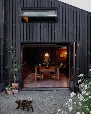a cat walking in front of a house with a table at Two unique cabins wrapped in beautiful welsh scenery in Presteigne