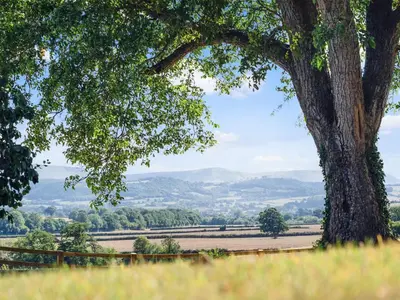 a large tree with a field and mountains in the background at Hayloft Barn in Clifford