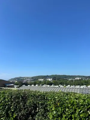a view of a roof of a building with a hedge at MoonStone in Aberystwyth