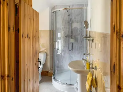a bathroom with a shower and a sink at Llys Dedwydd in Dolgellau