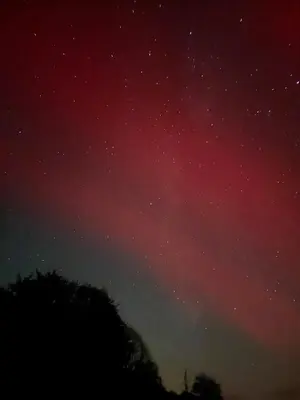 a starry night with a tree in the foreground at The Bw thyn - Ceredigion in Lampeter