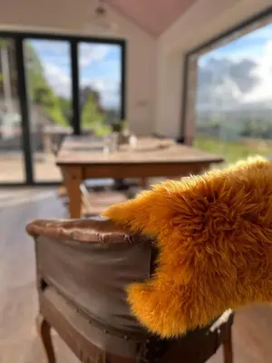 a close up of a stuffed animal paw on a chair at The Bw thyn - Ceredigion in Lampeter