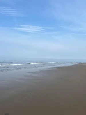 a person standing on a beach with the ocean at Visma Caravan in Llanddwywe