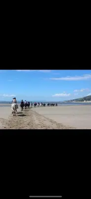 a group of people riding horses on the beach at Kimberly House in Arthog