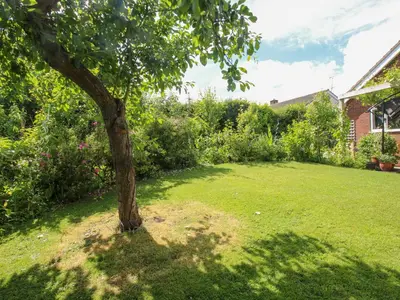 a tree sitting in the middle of a yard at Plum Hill in Oswestry