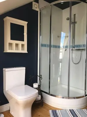 a bathroom with a shower and a white toilet at A Tranquil Retreat for Two in Pont-Robert