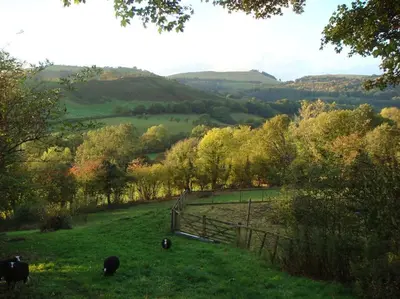 a group of cows grazing in a field with a fence at A Tranquil Retreat for Two in Pont-Robert