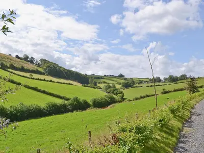 a green field with sheep in the middle of a road at Red Kite Cottage in Llangunllo
