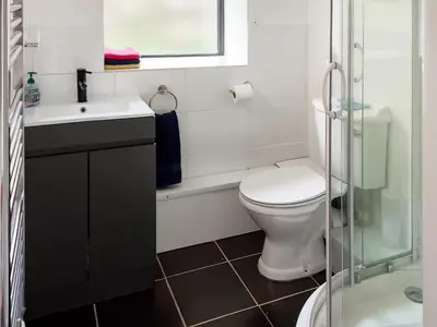 a bathroom with a toilet and a sink and a shower at Red Kite Cottage in Llangunllo