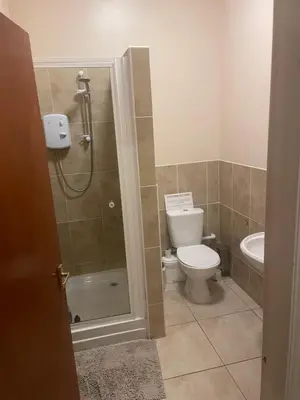 a bathroom with a shower and a toilet and a sink at Dolphin Inn in Llanymynech