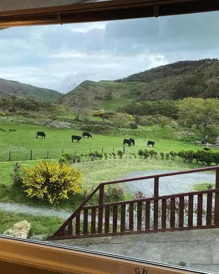 a group of horses grazing in a field at Cosy private Chalet in Tywyn