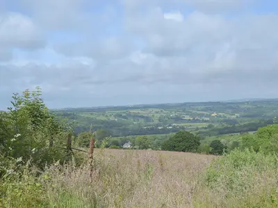 a view of a field of grass and trees at The Cow Shed - Or5 in Henfynyw Upper