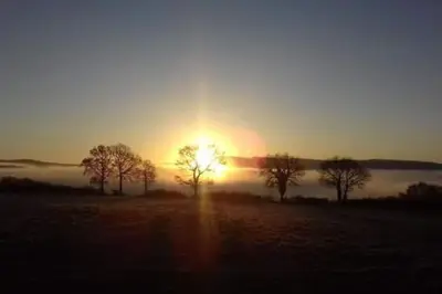 a group of trees in a field with the sunset at Perfect cottage retreat near the Brecon Beacons in Llanwrda