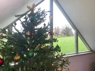 a christmas tree in a room with a window at The Coach House in Ludlow